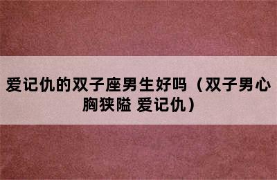 爱记仇的双子座男生好吗（双子男心胸狭隘 爱记仇）